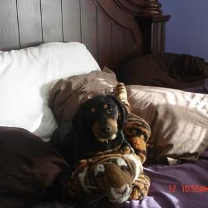 Meet your Posher, Timothy